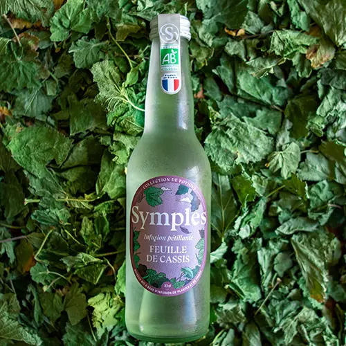 INFUSION CASSIS
